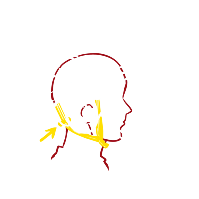 Casco Protos Arborist rosso  - Protos - Caschi tree climbing