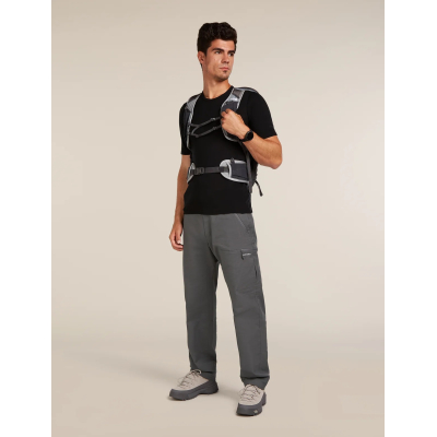 T-Shirt tecnica lana merino uomo M 175 Everyday SS Crew icebreaker  - Icebreaker - Maglie tecniche outdoor