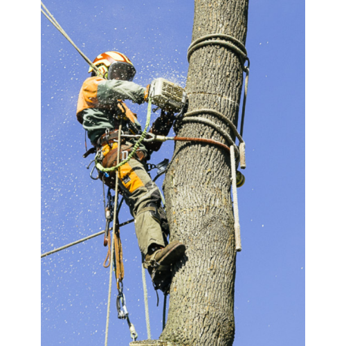 Ramponi per arborismo DR100 regolabili in Acciaio - risalita arrampicata  -  - Sistemi anticaduta