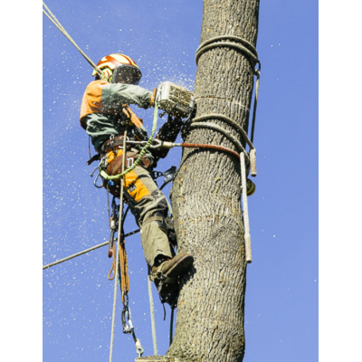 Ramponi per arborismo DR100 regolabili in Acciaio - risalita arrampicata  -  - Sistemi anticaduta