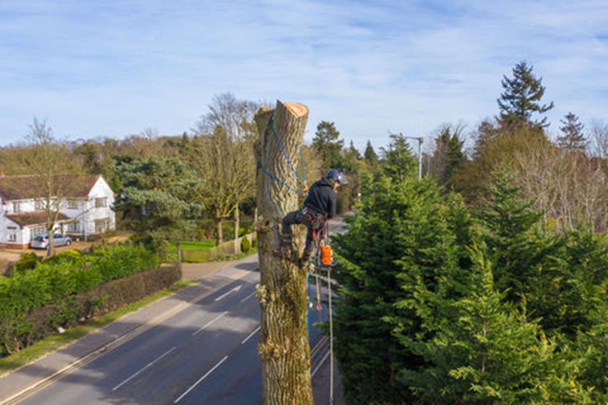 certicazione_arbortec_1.jpg