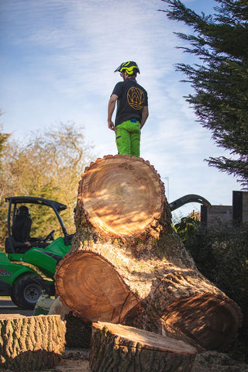 certicazione_arbortec_3.jpg